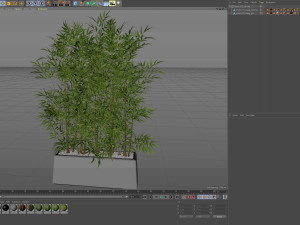Plants collection 615 3D Model