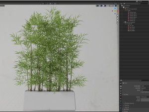 Plants collection 615 3D Model
