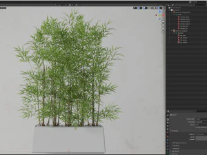 Plants collection 615 3D Model