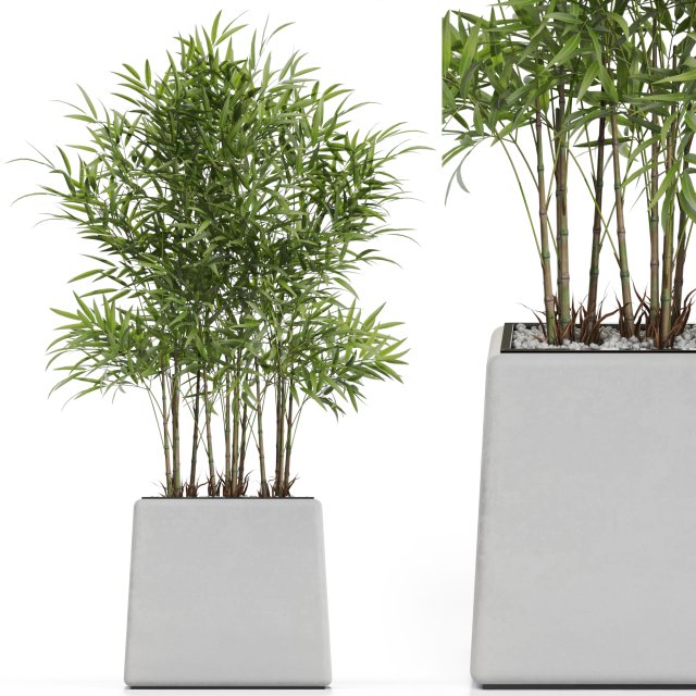 Plants collection 616 Model 3D .c4d .max .obj .3ds .fbx .stl .blend 