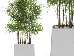 Plants collection 616 Modelo 3D