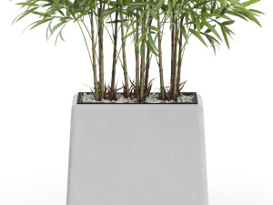 Plants collection 616 Model 3D