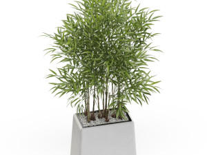 Plants collection 616 Model 3D