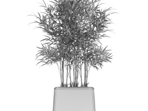 Plants collection 616 Model 3D