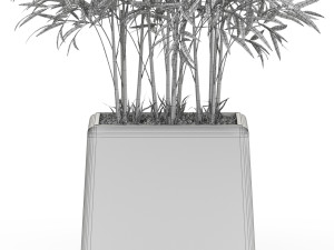 Plants collection 616 Model 3D