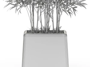 Plants collection 616 3D Model