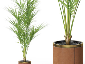 Plants collection 617 Modelo 3D