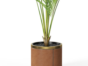 Plants collection 617 Modelo 3D