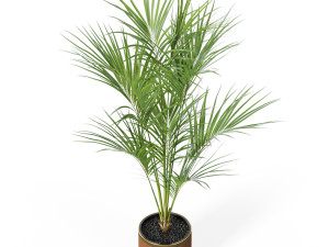 Plants collection 617 Modelo 3D
