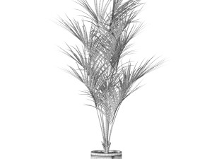 Plants collection 617 Modelo 3D