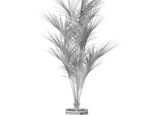 Plants collection 617 3D Model
