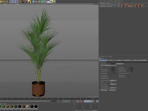 Plants collection 617 3D Model