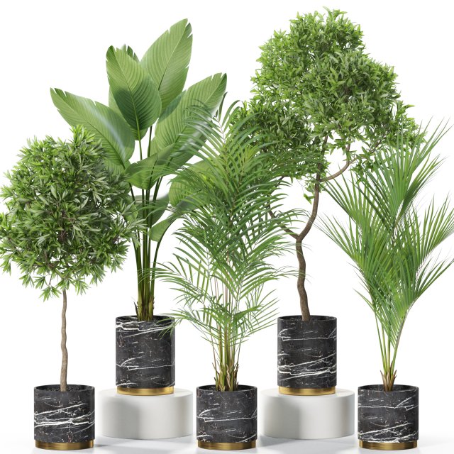 Plants collection 618 Modelo 3D .c4d .max .obj .3ds .fbx .stl .blend 