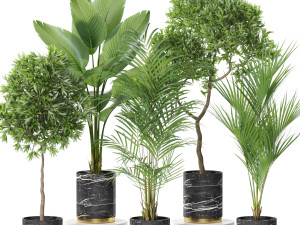 Plants collection 618 Modello 3D