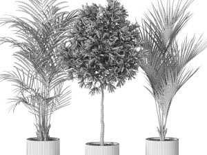 Plants collection 618 Modelo 3D
