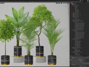 Plants collection 618 Modelo 3D