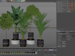 Plants collection 618 Modelo 3D