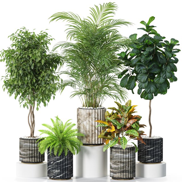 Plants collection 619 3D Model .c4d .max .obj .3ds .fbx .stl .blend