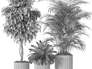 Plants collection 619 3D Model