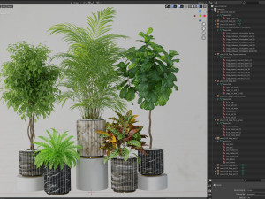 Plants collection 619 3D Model