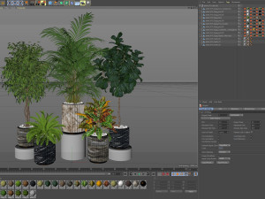 Plants collection 619 3D Model