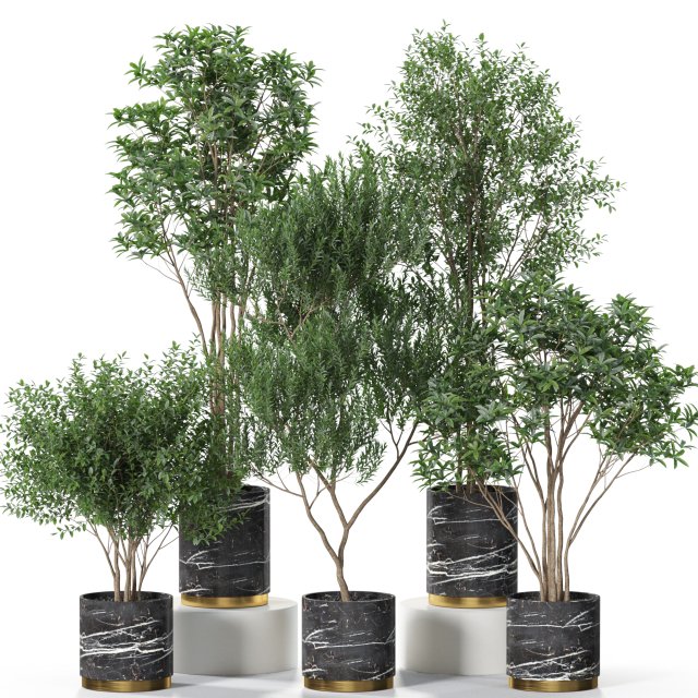 Plants collection 620 3D Model .c4d .max .obj .3ds .fbx .stl .blend 