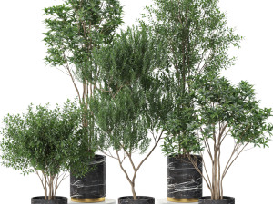 Plants collection 620 3D Model