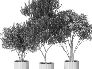 Plants collection 620 3D Model