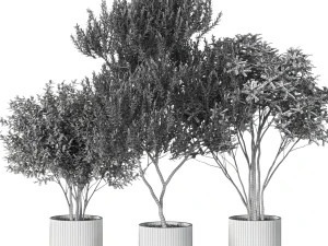 Plants collection 620 3D Model