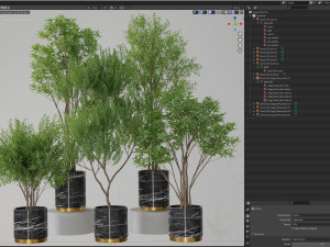 Plants collection 620 3D Model