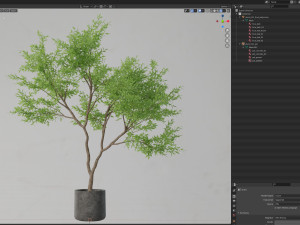 Plants collection 621 3D 模型