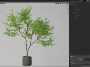 Plants collection 621 3D Model
