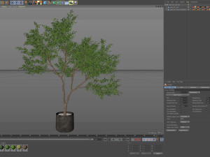 Plants collection 621 3D 模型