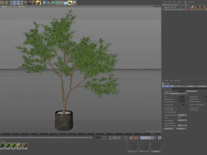 Plants collection 621 3D Model
