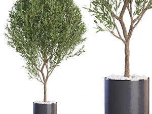 Koleksi tanaman 622 Model 3D