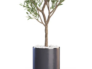 Plants collection 622 3D Model