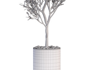 Plants collection 622 Modelo 3D