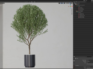 Plants collection 622 Modelo 3D