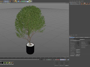 Plants collection 622 3D Model