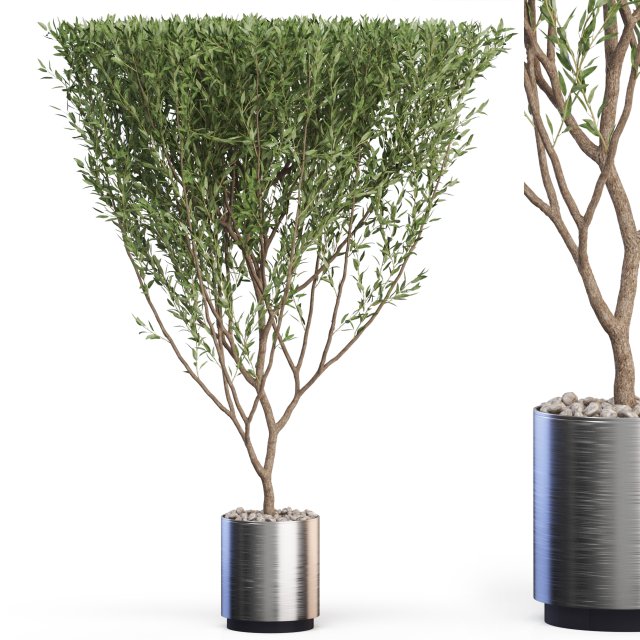 Plants collection 623 3D 模型 .c4d .max .obj .3ds .fbx .stl .blend