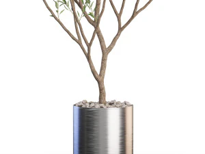 Plants collection 623 3D Model