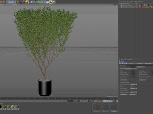 Plants collection 623 3D 模型