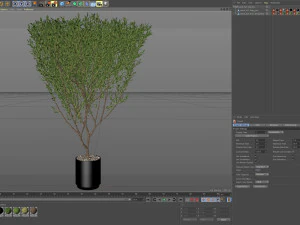 Plants collection 623 3D Model