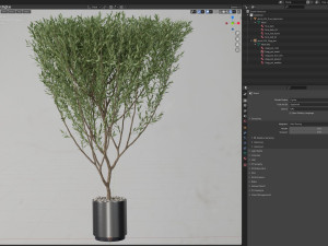 Plants collection 623 3D 模型