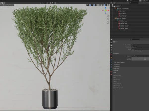Plants collection 623 3D Model