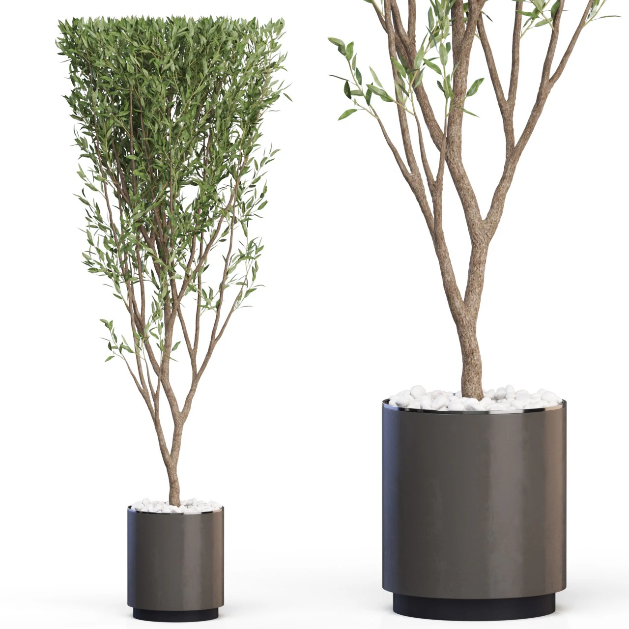 Plants collection 624 3D Model .c4d .max .obj .3ds .fbx .stl .blend