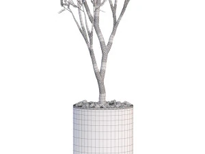 Plants collection 624 3D Model