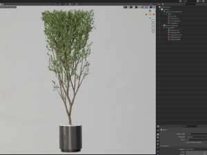 Plants collection 624 Modèle 3D