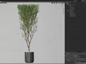 Plants collection 624 3D Model