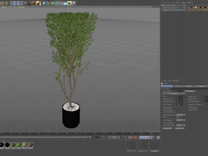 Plants collection 624 3D Model